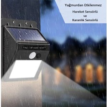 Newnet Güneş Enerjili Bahçe Lambası 20 LED Solar Lamba Bahçe Aplik Bahçe Lambası Bahçe Aydınlatma