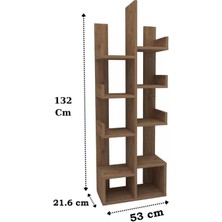 Reyo Home Enda Pamfilya 10 Bölmeli/raflı Kitaplık Atlantik Çam