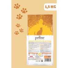 Petline Tavuklu Yetişkin Kedi Maması 1.5 kg