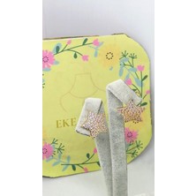 Eke Butik Çelik Taşlı Yıldız Küpe Altın