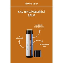 Botanivo Kaş Zenginleştirici & Besleyici Balm | Güçlü, Canlı, Dolgun Kaşlar | Organik Içerikli | 5 ml Stick