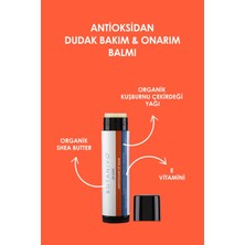 Botanivo Antioksidan Dudak Bakım & Onarım Balmı | Nemlendirici, Besleyici, Koruyucu | Organik | 5 ml Stick