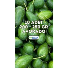 AvoGarden Taze Avokado 10'lu Paket - 200 - 250 gr