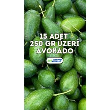 AvoGarden Taze Avokado 15'li Paket - 250 gr Üzeri