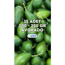 AvoGarden Taze Avokado 15'li Paket - 200 - 250 gr Arası