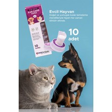 Pop İt Clean Evcil Hayvan Kedi & Köpek Kulak Bakım Ve Temizleme Mendili