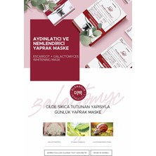 Escargot + Fermente Pirinç Aydınlatıcı Yaprak Maske Intracell Galactomyces Whitening Mask