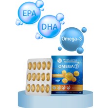 Wellvalens Omega-3 EPA & DHA – Kalp, Beyin ve Göz Sağlığı Desteği | 60 Kapsül