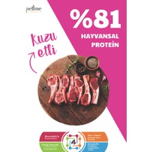 Petline Petline Süper Premium Legend - Kuzu Etli  Yetişkin Köpek Maması 12 kg