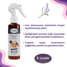 Gallipoli Lavender Lavantalı Pet Tüy Açıcı Kene ve Pire Önleyici Kolay Taranma ve Tüy Bakım Spreyi