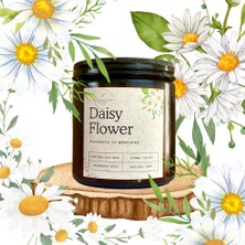 Stworkshop Yılbaşı Özel : Daisy Flower Papatya Kokulu Büyük Mum, Taze ve Yatıştırıcı Papatya Esansı Malzeme:  Doğal Vegan Soya Wa x  Ağırlık: 340 gr (Büyük Boy)