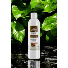 Garlex Sarımsak ve Argan Şampuanı 250 ml