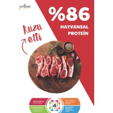 Petline Petline Sport Kuzu Etli Yüksek Enerji Yetişkin Köpek Maması 12 kg