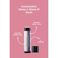 Botanivo Canlandırıcı Tırnak & Tırnak Eti Balmı | Besleyici & Güçlendirici | Organik Içerikli | 5 ml Stick