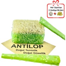 Antilop Kabak Lifli Aloe Vera Sabunu, Doğal Nemlendirici ve Peeling Özellikli