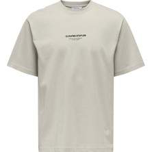 Only & Sons Erkek Onscurated Bisiklet Yaka %100 Pamuk T-Shirt 22030925 Taş