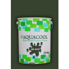 Aquacool Trend Akrilik Hobi Boya 2,5 kg Su Bazlı Hibrit Dönüşüm Boyası Ral 6020 Krom Yeşili
