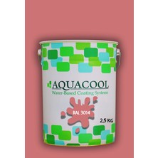 Aquacool Trend Akrilik Hobi Boya 2,5 kg Su Bazlı Hibrit Dönüşüm Boyası Ral 3014 Antik Pembe