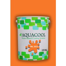 Aquacool Trend Akrilik Hobi Boya 2,5 kg Su Bazlı Hibrit Dönüşüm Boyası Ral 2003 Pastel Turuncu