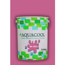 Aquacool Trend Akrilik Hobi Boya 2,5 kg Su Bazlı Hibrit Dönüşüm Boyası Ral 4003 Erika Moru