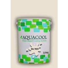 Aquacool Trend Akrilik Hobi Boya 2,5 kg Su Bazlı Hibrit Dönüşüm Boyası Ral 9001 Krem
