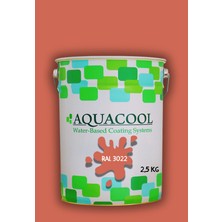 Aquacool Trend Akrilik Hobi Boya 2,5 kg Su Bazlı Hibrit Dönüşüm Boyası Ral 3022 Somon Pembe