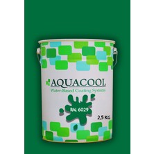 Aquacool Trend Akrilik Hobi Boya 2,5 kg Su Bazlı Hibrit Dönüşüm Boyası Ral 6029 Nane Yeşili