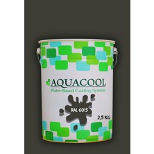 Aquacool Trend Akrilik Hobi Boya 2,5 kg Su Bazlı Hibrit Dönüşüm Boyası Ral 6015 Siyah Zeytin
