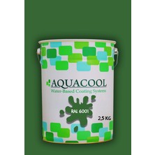 Aquacool Trend Akrilik Hobi Boya 2,5 kg Su Bazlı Hibrit Dönüşüm Boyası Ral 6001 Zümrüt Yeşili