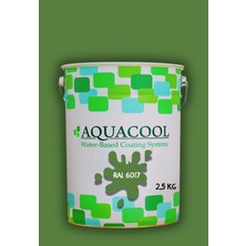 Aquacool Trend Akrilik Hobi Boya 2,5 kg Su Bazlı Hibrit Dönüşüm Boyası Ral 6017 Mayıs Yeşili