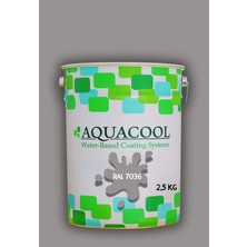 Aquacool Trend Akrilik Hobi Boya 2,5 kg Su Bazlı Hibrit Dönüşüm Boyası Ral 7036 Platin Grisi
