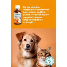 Biotin Forte Tüy Sağlığını Destekleyici Multivitamin Damla (KEDİ VE KÖPEK TÜY DÖKÜLMESİNİ ÖNLEYİCİ)