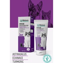 Mixtura Pharma Immune Kedi ve Köpek İmmün Desteği Malt Macunu