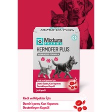 Mixtura Pharma Hemofer Forte Kedi ve Köpek Kan ve Demir Vitamini Önleyici