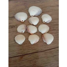 Deniz Kabuğu Delikli 100GR