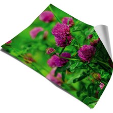 Buzdolabı ve Bulaşık Makinesi Kapak Sticker Kendinden Yapışkanlı Folyo Çiçek Desen