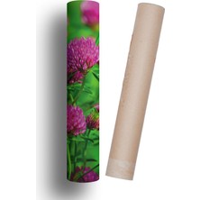 Buzdolabı ve Bulaşık Makinesi Kapak Sticker Kendinden Yapışkanlı Folyo Çiçek Desen