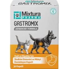 Mixtura Pharma Gastro-Comfort Mide ve Sindiriim Sistemini Destekleyici (Kedi ve Köpek Mide Koruyucu)