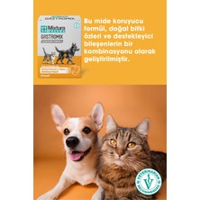 Mixtura Pharma Gastro-Comfort Mide ve Sindiriim Sistemini Destekleyici (Kedi ve Köpek Mide Koruyucu)