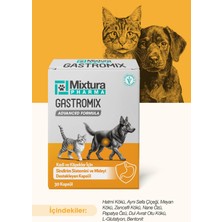 Mixtura Pharma Gastro-Comfort Mide ve Sindiriim Sistemini Destekleyici (Kedi ve Köpek Mide Koruyucu)