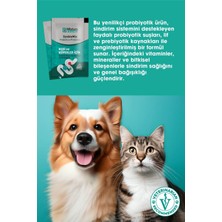 Mixtura Pharma Synbio Mix Kedi Probiyotik ve Köpek Probiyotik - Sindiriim Sistemi Destekleyici Düzenleyici Toz