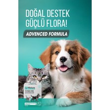 Mixtura Pharma Synbio Mix Kedi Probiyotik ve Köpek Probiyotik - Sindiriim Sistemi Destekleyici Düzenleyici Toz