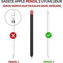 Dmay Apple Pencil 2. Nesil Uyumlu Koruyucu Silikon Kılıf Sevimli Kedi Figürlü (Ürün Kalem Değildir)