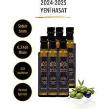 Green Amour Yeni hasat, Soğuk Sıkım, 0,3 Asit, 370 Polifenol, Pestisit İçermeyen, Naturel Sızma Zeytinyağı 6 X 250 ml