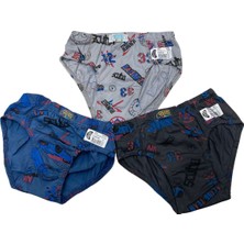 Gmş Araba Desenli Gri, Indigo, Füme Renk 3lü Erkek Slip Set 3090-2