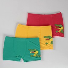 Elm Karışık Desen 3lü Erkek Çocuk Boxer Set B-76