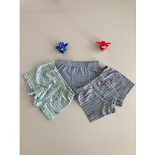 Elm Karışık Desen 3lü Erkek Çocuk Boxer Set B-61