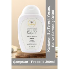 Biotaron Propolis Içerikli Günlük Bakım Şampuan - Su Teresi, Sarmaşık Özütü ve Yosun Balözütü 300 ml