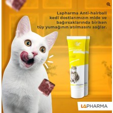 Lapharma Anti-Hairball Kedi Için Malt Paste 100GR