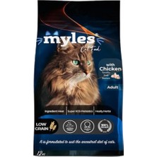 Tavuk Etli Yetişkin Kedi Maması 12 kg + Sonrisa Pets Kedi Çimi 2li